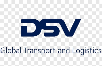 DSV logo